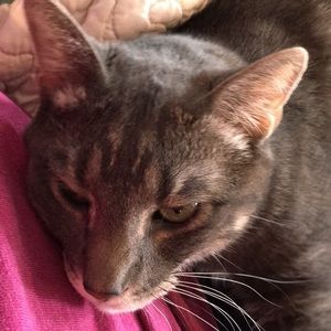 Meet your Posher, Bethany